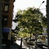 Block 390: White Street between Avenue of the Americas and West Broadway (south side)