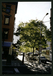 Block 390: White Street between Avenue of the Americas and West Broadway (south side)