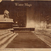 Forty-second Street and Fifth Avenue--3 am and a cold lion