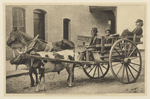 [Reproduction of photograph of SLC in cart drawn by horse and ox, with driver and boy].