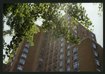 Block 400: Thompson Street between Grand Street and Canal Street (east side)