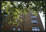 Block 400: Thompson Street between Grand Street and Canal Street (east side)