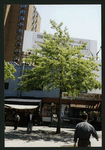Block 400: Thompson Street between Grand Street and Canal Street (east side)