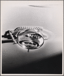 Photograph for a professional advertising assignment