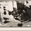 Pigeons and a trash can, New York