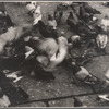 Pigeons, New York