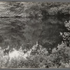 Pond