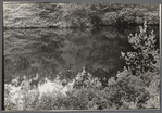 Pond