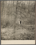 Bride and groom in woods