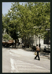 Block 401: Canal Street between Sixth Avenue and Thompson Street (north side)