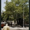 Block 401: Thompson Street between Canal Street and Grand Street (west side)
