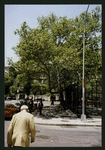 Block 401: Thompson Street between Canal Street and Grand Street (west side)