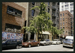 Block 401: Thompson Street between Canal Street and Grand Street (west side)