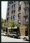 Block 401: Thompson Street between Canal Street and Grand Street (west side)
