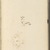 [Nature and Bird Notes.] MS journal and list of birds, kept by Sophia, John and H. D. Thoreau. Also contains HDT's A Walk to Wachusett