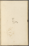 [Nature and Bird Notes.] MS journal and list of birds, kept by Sophia, John and H. D. Thoreau. Also contains HDT's A Walk to Wachusett