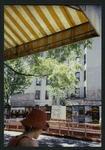 Block 405: Macdougal Street between Spring Street and Broome Street (west side)