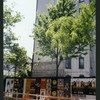 Block 405: Macdougal Street between Spring Street and Broome Street (west side)