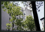 Block 405: Macdougal Street between Spring Street and Broome Street (west side)