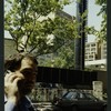 Block 405: Macdougal Street between Spring Street and Broome Street (west side)