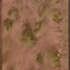 Webb, Sarah E., ALS to. Sep. 15, 1854.
