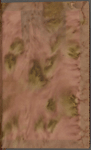 Webb, Sarah E., ALS to. Sep. 15, 1854.