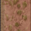 Webb, Sarah E., ALS to. Sep. 15, 1854.
