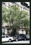 Block 407: Broome Street between Varick Street and Sixth Avenue (north side)