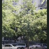 Block 407: Sixth Avenue between Broome Street and Dominick Street (west side)