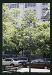 Block 407: Sixth Avenue between Broome Street and Dominick Street (west side)