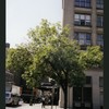 Block 410: Sixth Avenue between Canal Street and Grand Street (west side)