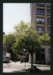 Block 410: Sixth Avenue between Canal Street and Grand Street (west side)