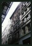 Block 413: St. Johns Lane between Laight Street and Beach Street (west side)