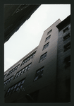 Block 413: St. Johns Lane between Laight Street and Beach Street (west side)