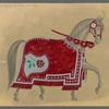 7 Horses-Knights of the Blended Rose