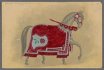 7 Horses-Knights of the Blended Rose