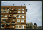 Block 421: Hudson Street between Leonard Street and Worth Street (east side)