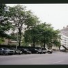 Block 425: Varick Street between Ericsson Place and Laight Street (west side)
