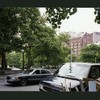 Block 425: Hudson Street between Laight STreet and Ericsson Street (east side)