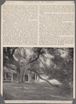 [The?]great elm that stood just east of the Webster house. The illustration is a recent one and shows a portion of the dwelling that now stand[?] on the site of the original house.