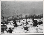 Cranes in snow
