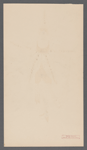 Blue fish costume