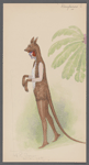 Kangaroo