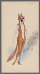 Red Fox