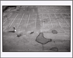 Seaside, Queens: September 2, 2001