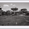 Willets Point, Queens: July 2, 1998