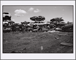 Willets Point, Queens: July 2, 1998