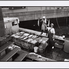 Sheepshead Bay, Brooklyn: July 1, 2001