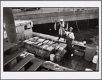 Sheepshead Bay, Brooklyn: July 1, 2001