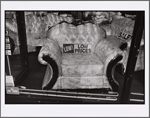 Fordham Road, Bronx: December 13, 1998